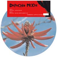 Depeche Mode Precious (9) - Picturedisc