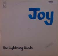 Lightning Seeds Joy 12'' 571362