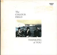Colourfield Thinking Of You