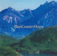 Blur Country House (Promo) SCD 581469
