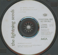 Lightning Seeds Joy - Promo MCD 582099