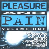 Various Artists / Sampler Pleasure & Pain Vol. 1