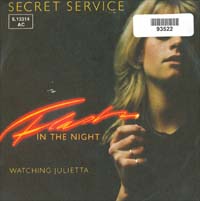Secret Service Flash In The Night